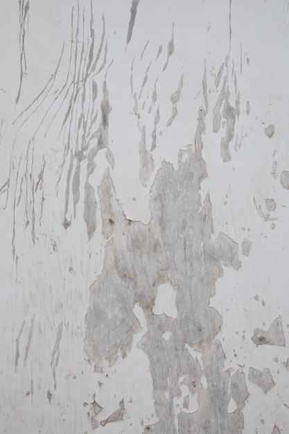 Un muro bianco con vernice scrostata e un buco nel mezzo che dice "la parola" su di esso "