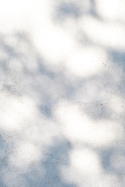 Un muro con ombre di foglie sfondo astratto