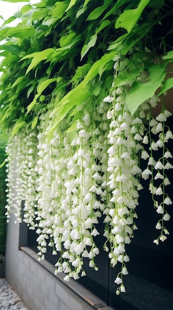 Un muro di fiori da cui pendono le foglie di mughetto.