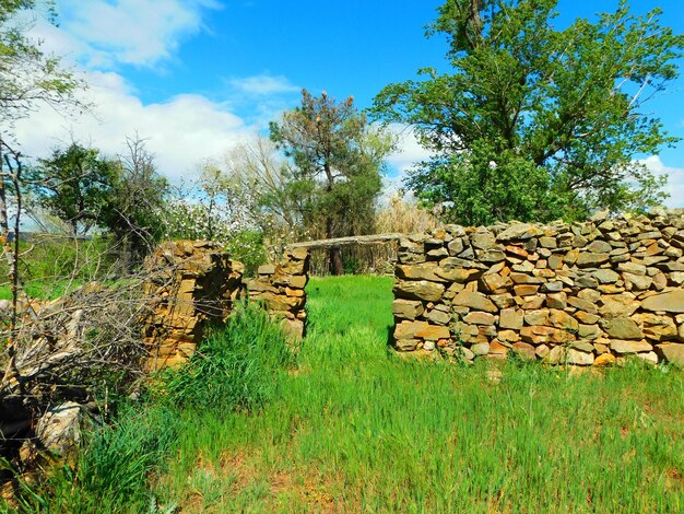 Un muro di pietra è nell'erba