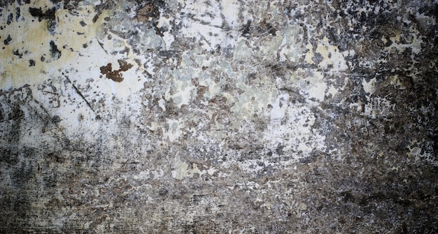 Un muro in una caverna che ha una macchia bianca su di esso.