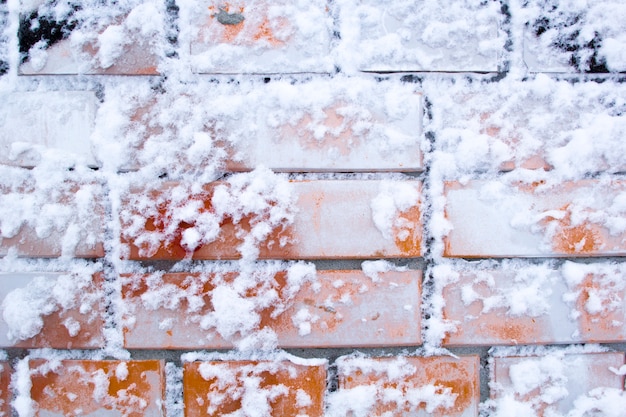 Un muro nella neve