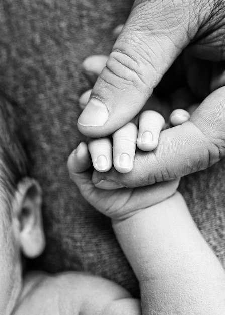 Un neonato tiene con la mano, le dita della mano, le dita di un genitore, padre o madre. Foto in bianco e nero.