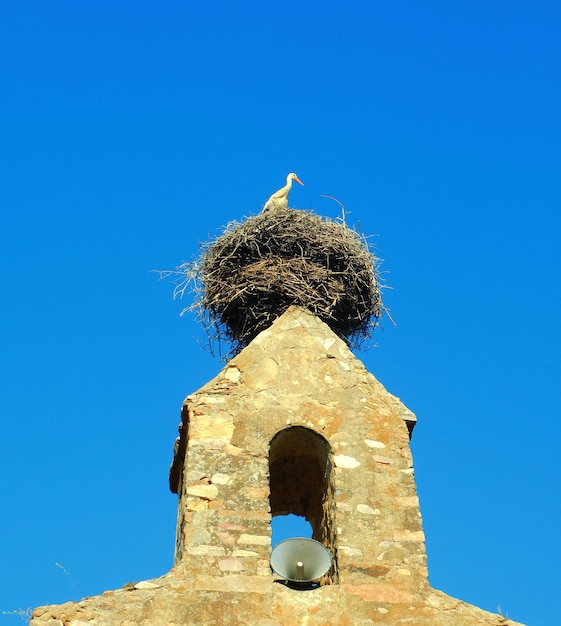 Un nido di uccelli è in cima a un piccolo edificio