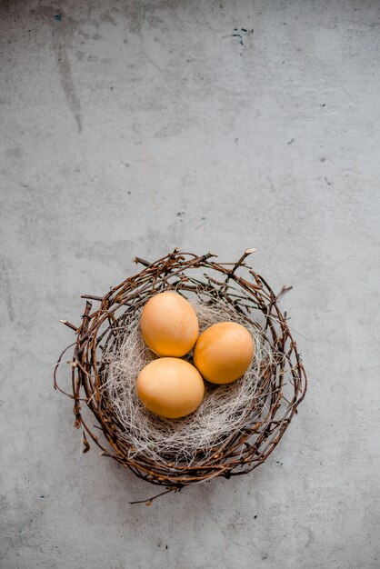 un nido e diverse uova con bastoncini di salice. Priorità bassa di pietra grigia astratta, concetto felice di pasqua