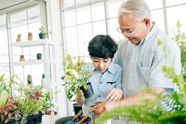 Un nonno asiatico in pensione e suo nipote trascorrono del tempo di qualità insieme a casa. Divertiti a prenderti cura delle piante scavando il terreno per prepararti alla semina. Il legame familiare tra bambini e adulti