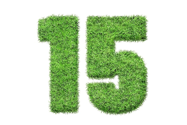 Un numero verde 15 su sfondo bianco