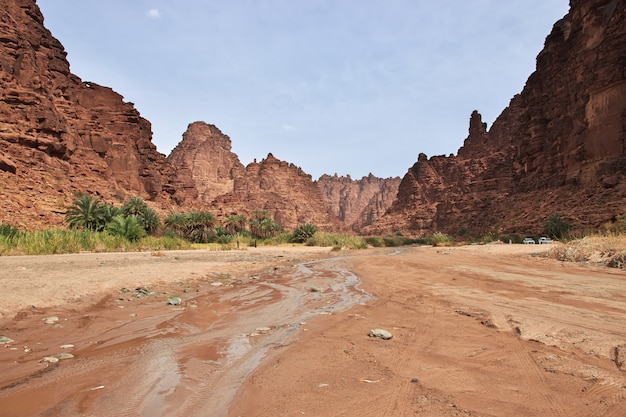 Un'oasi nel canyon di Wadi Disah Al Shaq in Arabia Saudita