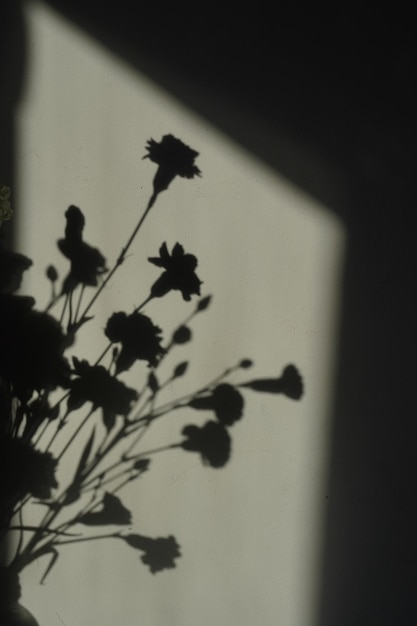 Un'ombra di fiori su un muro con il sole che splende su di esso.
