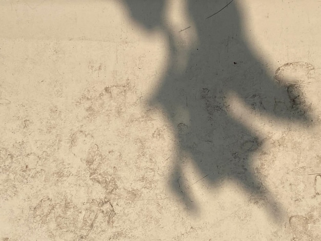 Un'ombra di un uomo e di un cane su un muro di cemento