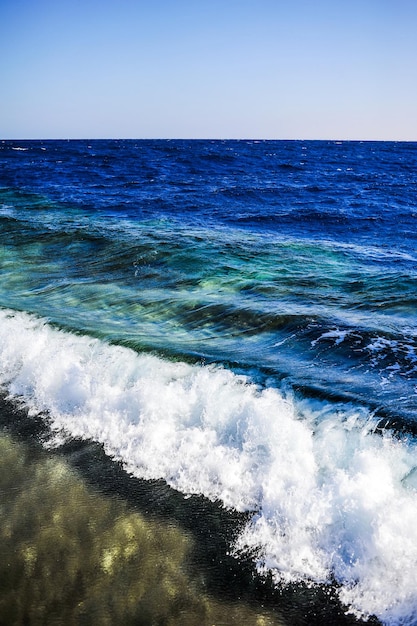 Un'onda blu con sopra la parola mare