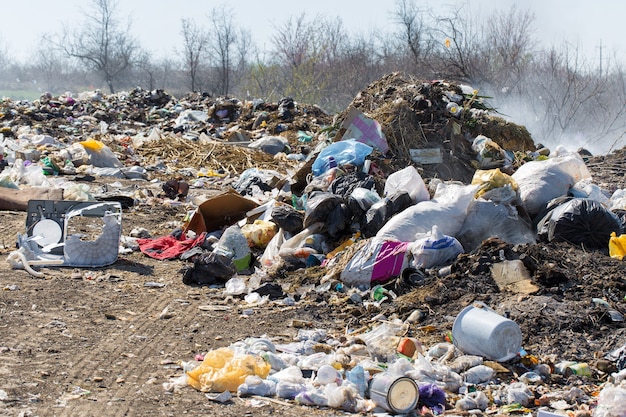 Un orsacchiotto giace gettato nel mezzo di una discarica fumante di immondizia