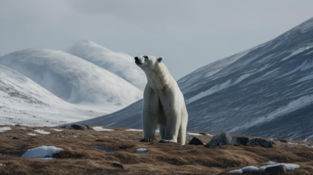 Un orso polare in piedi sulla cima di un'immagine ai generativa di una montagna innevata