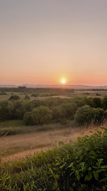 un paesaggio all'alba di un campo con alberi