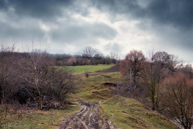 Un paesaggio autunnale con una strada sterrata verso la foresta e un cielo scuro e coperto Una cupa giornata autunnale che provoca depressione