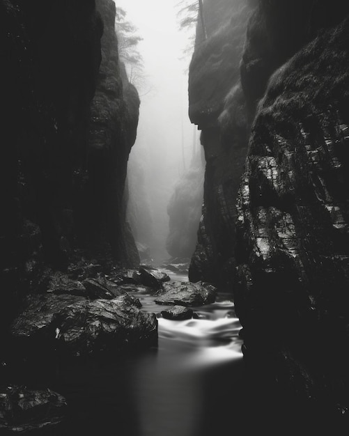 Un paesaggio bianco e nero