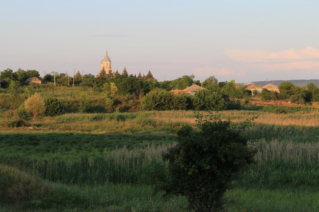 Un paesaggio con un campo e degli alberi