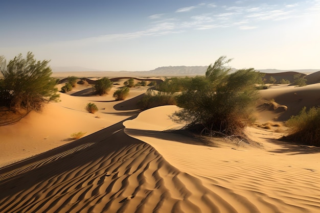 Un paesaggio desertico con dune di sabbia e alberi in primo piano.