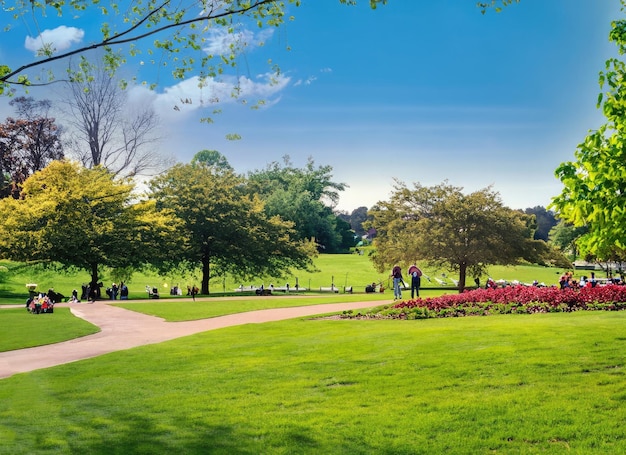 un paesaggio di parco pubblico