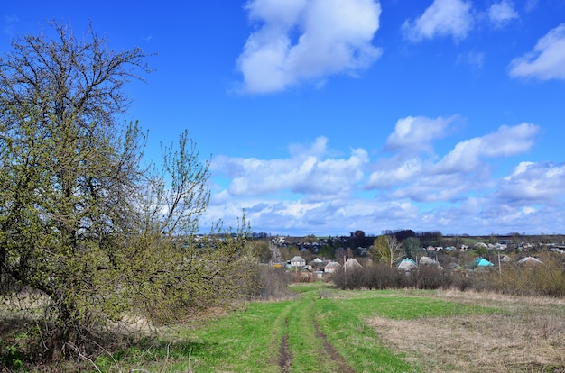 Un paesaggio rurale con molte case private e alberi verdi