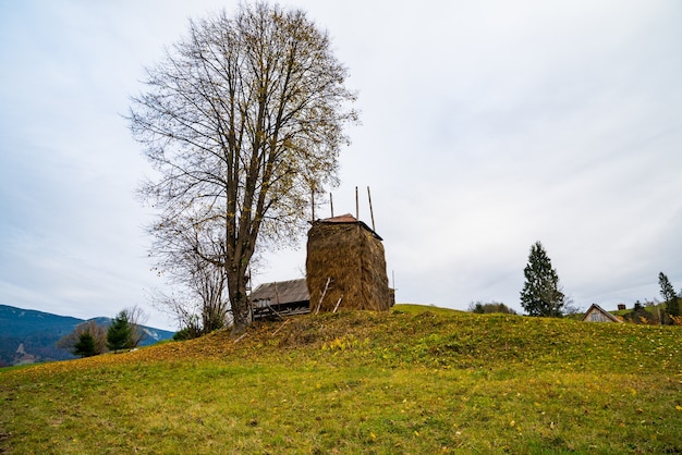 Un pagliaio si trova vicino a un albero senza foglie sullo sfondo di una valle con foreste e un villaggio