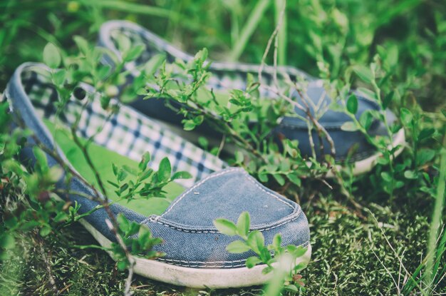 Un paio di scarpe mocassino blu nell'erba verde, concetto di calzature attive alla moda