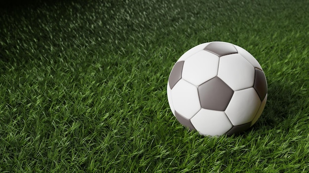 Un pallone da calcio sull'erba