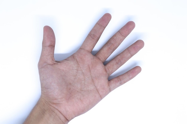 Un palmo della mano sullo sfondo bianco minimalista con modalità orizzontale a scatto piatto
