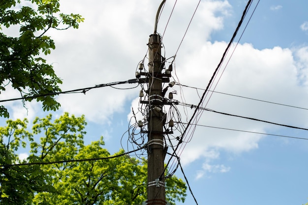 Un palo con fili elettrici tra gli alberi