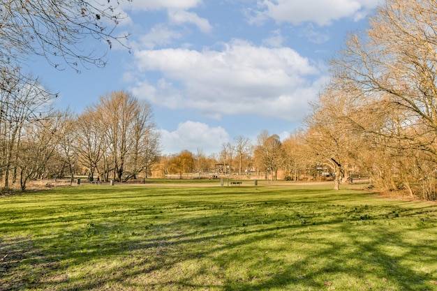 Un parco con erba e alberi in una giornata di sole