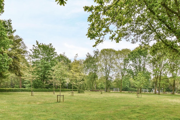 Un parco con erba verde e alberi