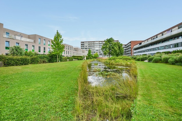 Un parco erboso con un fiume nel mezzo