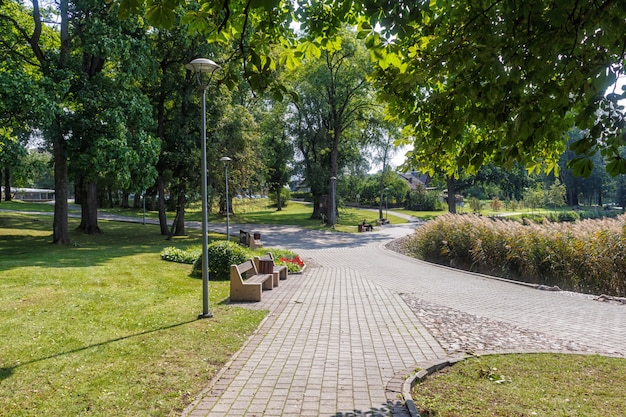 Un parco forestale con grandi alberi