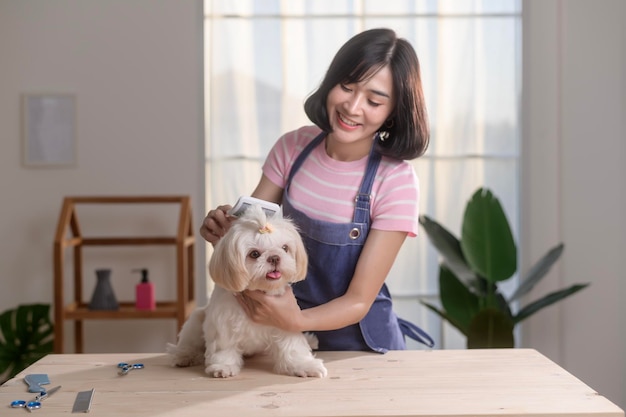 Un parrucchiere professionista che taglia i capelli e pettina la pelliccia del cane in un salone di parrucchiere per animali domestici x9