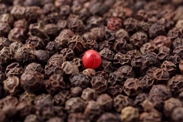 Un pepe rosso in grani sul mucchio di pepe nero in grani. Avvicinamento.