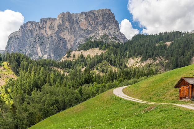 Un percorso pittoresco attraverso un prato alpino nelle Dolomiti italiane per escursioni a piedi e in bicicletta.