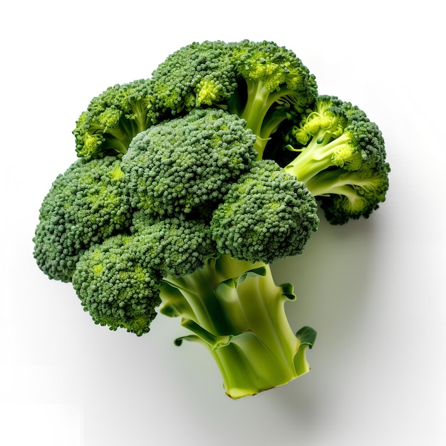 Un pezzo di broccoli è mostrato su uno sfondo bianco.