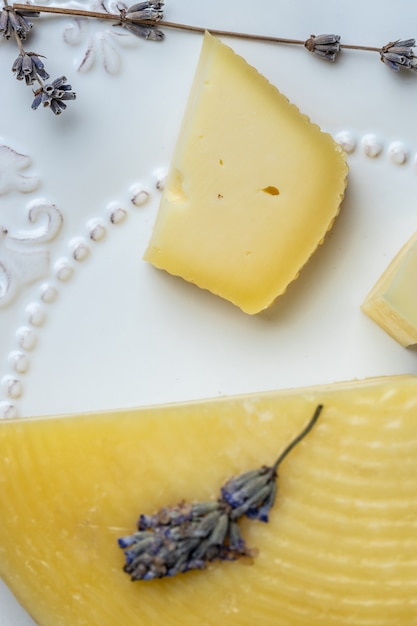 Un pezzo di formaggio con erbe aromatiche sul piatto bianco. formaggio avender con basilico secco e fiori di lavanda. immagine verticale. vista dall'alto. posto per il testo