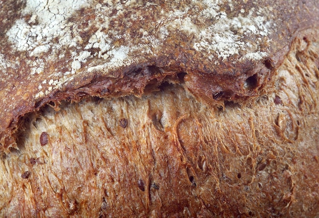 Un pezzo di pane con sopra la scritta "glutine".