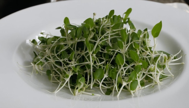 Un piatto bianco con un'insalata verde