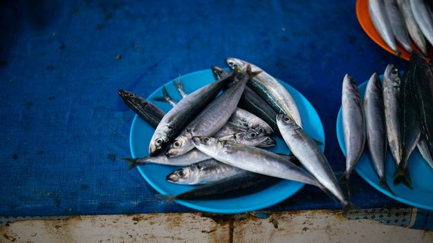 Un piatto blu di sardine si trova su un piatto blu.