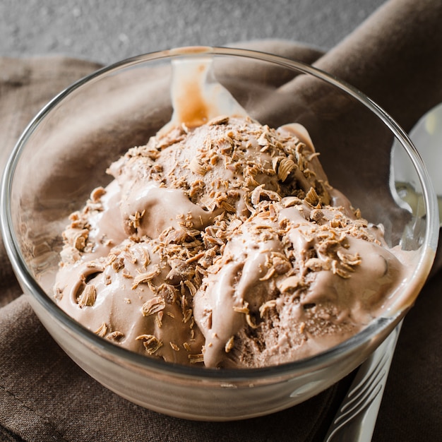 Un piatto di gelato artigianale al cioccolato con gocce di cioccolato.