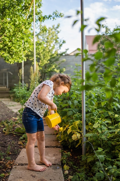 Un piccolo aiutante nel giardino che innaffia i cespugli di lampone con un annaffiatoio giallo al tramonto