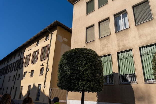 Un piccolo albero sta crescendo di fronte a un edificio con persiane verdi