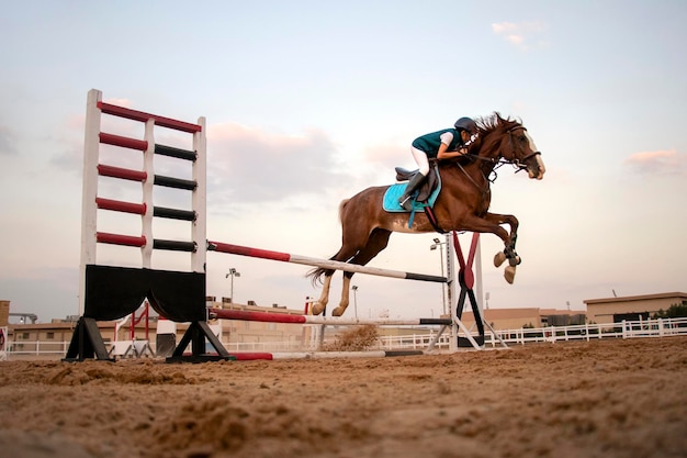 Un piccolo cavaliere cavalca su un cavallo e salta oltre il recinto in alto nell'allevamento di cavalli