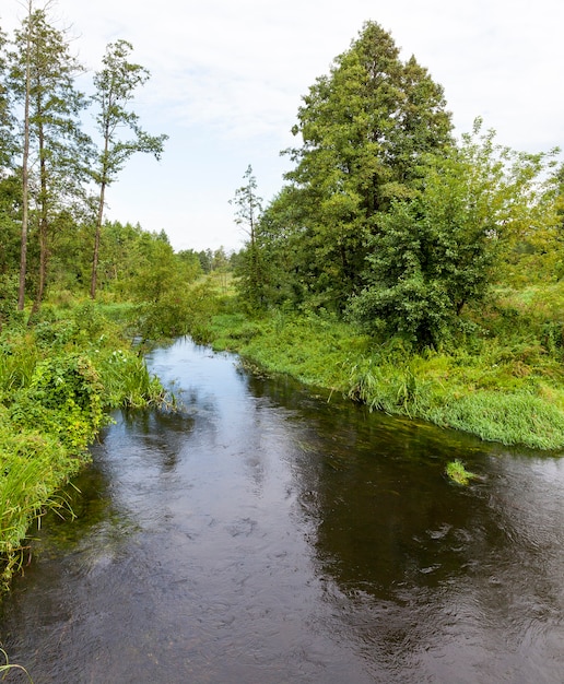 Un piccolo fiume che scorre tra alberi e boschi, un paesaggio primaverile immerso nella natura fuori città