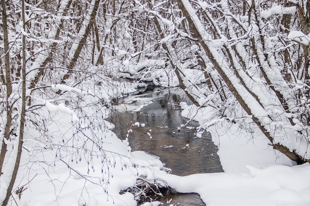 Un piccolo fiume in inverno. Paesaggio invernale. Acqua nei fiumi. Alberi d'inverno. Neve.