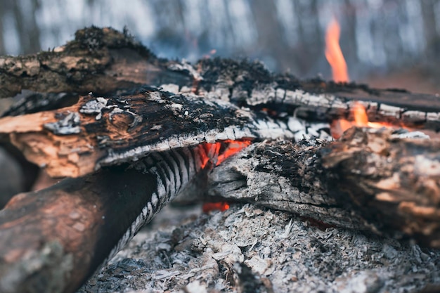 Un piccolo fuoco sta bruciando