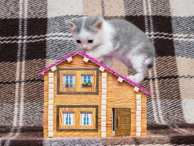 Foto un piccolo gattino è seduto su una casa giocattolo