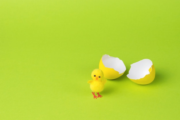 Un piccolo pollo vicino a un uovo rotto su uno sfondo verde.